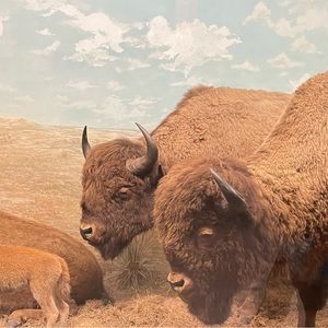 Meet your Posher, Ben